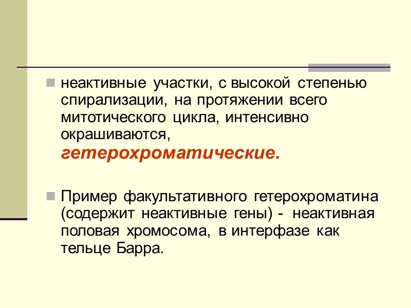 Структурный гетерохроматин в центромере, теломерах, в нем нет уникальных генов.  Его ДНК не